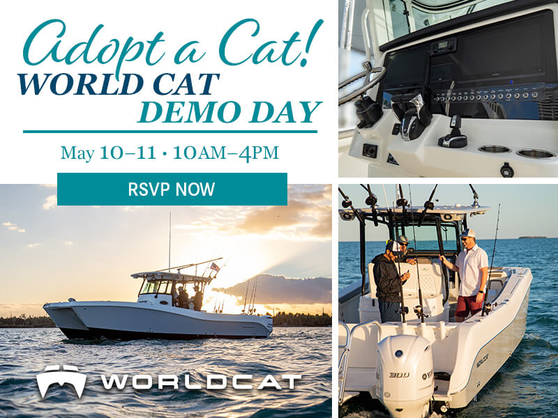 OBY_World_Cat_Demo_Day_Digital_Ad_R2_Mobile_800_x_600